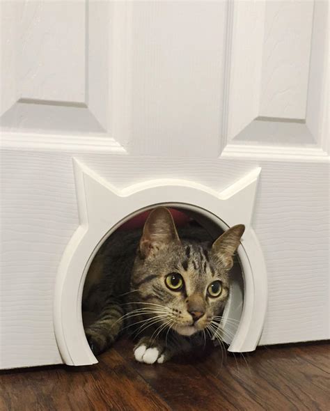 Cat Door for Interior Door: Convenient Access for Your Feline Friend